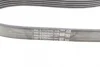 Ремінь генератора Ford Fiesta/Focus 1.4/1.6i 16V 01-12 (6PK1019 ELAST+5PK690 ELAST) Contitech 6PK1019 ELAST T1 (фото 10)