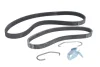 Поліклиновий ремінь (6PK1019) FORD FIESTA V, FUSION MAZDA 2 1.2-1.6 11.01-12.12 Contitech 6 PK 1019 T1 (фото 1)