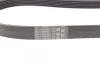 Ремінь генератора Ford Fiesta VI/Mondeo IV 08- CONTINENTAL Contitech 6PK1029 ELAST (фото 3)