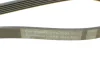 Ремінь генератора VW Golf/Passat 1.6-2.0 96-/Nissan Primera/Almera 2.0 90-01/Citroen C2 1.4 05-09 CONTINENTAL Contitech 6PK1033 (фото 4)