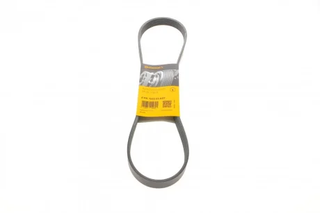 Ремінь генератора Ford Fiesta VI 1.25-1.6Ti 08- CONTINENTAL Contitech 6PK1033 ELAST