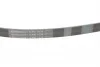 Ремінь генератора Toyota Camry 3.0 01-06/Peugeot 208/5008 1.2 13-/Lexus 300 3.0 00-08 CONTINENTAL Contitech 6PK1038 (фото 3)