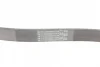 Ремінь генератора Ford Focus/Fiesta/Fusion 1.25-1.6 99-12/Mazda 2 1.25-1.6 03-07 CONTINENTAL Contitech 6PK1042 ELAST (фото 3)