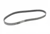 Ремінь генератора Ford Focus/Fiesta/Fusion 1.25-1.6 99-12/Mazda 2 1.25-1.6 03-07 CONTINENTAL Contitech 6PK1042 ELAST (фото 5)