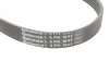 Ремінь генератора VW Golf III/Passat/T4 1.9D/TD 90-04/Opel Corsa F 1.2 19-/Fiat Scudo 1.9D 98-06 CONTINENTAL Contitech 6PK1045 (фото 4)