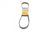 Ремінь генератора Ford Focus 1.6 04-/Volvo C30/S40/V50 05-12 CONTINENTAL Contitech 6PK1059 ELAST