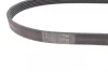 Ремінь генератора Ford Focus 1.6 04-/Volvo C30/S40/V50 05-12 CONTINENTAL Contitech 6PK1059 ELAST (фото 2)