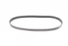 Ремінь генератора Ford Focus 1.6 04-/Volvo C30/S40/V50 05-12 CONTINENTAL Contitech 6PK1059 ELAST (фото 5)