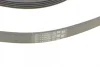 Ремінь генератора Ford Focus 1.4/1.6i 03-/Volvo C30/S40/V50 1.6 05-12 (6PK1059 ELAST+5PK868 ELAST) CONTINENTAL Contitech 6PK1059 ELAST T2 (фото 4)