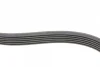 Ремінь генератора Ford Focus 1.4/1.6i 03-/Volvo C30/S40/V50 1.6 05-12 (6PK1059 ELAST+5PK868 ELAST) CONTINENTAL Contitech 6PK1059 ELAST T2 (фото 6)