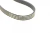 Ремінь генератора Ford Focus 1.4/1.6i 03-/Volvo C30/S40/V50 1.6 05-12 (6PK1059 ELAST+5PK868 ELAST) CONTINENTAL Contitech 6PK1059 ELAST T2 (фото 7)