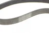 Ремінь генератора Ford Focus 1.4/1.6i 03-/Volvo C30/S40/V50 1.6 05-12 (6PK1059 ELAST+5PK868 ELAST) CONTINENTAL Contitech 6PK1059 ELAST T2 (фото 8)