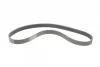 Ремінь генератора Ford Focus 1.4/1.6i 03-/Volvo C30/S40/V50 1.6 05-12 (6PK1059 ELAST+5PK868 ELAST) CONTINENTAL Contitech 6PK1059 ELAST T2 (фото 9)