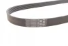 Ремінь генератора VW Caddy 1.6-2.0TDI 15-/Peugeot 2008/306/307/406 1.2-1.6 03- Contitech 6PK1070 (фото 2)