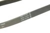 Ремень генератора поликлиновый CONTINENTAL Contitech 6PK1073 EXTRA (фото 4)