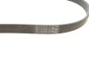 Ремінь генератора Citroen DS5/Peugeot 3008/508 I 2.0DH 10-18 CONTINENTAL Contitech 6PK1080 EXTRA (фото 2)