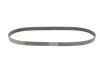 Поліклиновий ремінь (6PK1090) CITROEN C2, C2 ENTERPRISE, C3 I, C3 PLURIEL, C4, C4 GRAND PICASSO I, C4 I, C4 PICASSO I PEUGEOT 1007, 206, 207, 307 1.4D/1.6D 02.02- Contitech 6 PK 1090 ELAST (фото 2)
