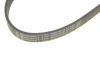 Поліклиновий ремінь (6PK1090) CITROEN C2, C2 ENTERPRISE, C3 I, C3 PLURIEL, C4, C4 GRAND PICASSO I, C4 I, C4 PICASSO I PEUGEOT 1007, 206, 207, 307 1.4D/1.6D 02.02- Contitech 6 PK 1090 ELAST (фото 4)