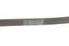 Поліклиновий ремінь (6PK1090) CITROEN C2, C2 ENTERPRISE, C3 I, C3 PLURIEL, C4, C4 GRAND PICASSO I, C4 I, C4 PICASSO I PEUGEOT 1007, 206, 207, 307 1.4D/1.6D 02.02- Contitech 6 PK 1090 ELAST (фото 5)