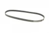 Поліклиновий ремінь (6PK1095) CITROEN JUMPER I, JUMPER II, ZX FIAT DUCATO NISSAN PRIMERA OPEL VECTRA C GTS, ZAFIRA B PEUGEOT 405 II, BOXER SEAT CORDOBA, IBIZA III 1.6-2.0LPG 03.91-04.15 Contitech 6 PK 1095 (фото 5)
