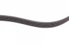 Ремінь генератора Skoda Octavia/VW Golf 1.6-2.0/1.9TDI 97-13/Passat B6/B7 1.8-2.0TSI/T5 1.9TDI 03-15 CONTINENTAL Contitech 6PK1120 (фото 4)