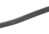 Ремінь генератора MB Sprinter (W906/W907/W910) 2.1 CDI (OM651) 06- (6PK1124) CONTINENTAL 6PK1124 ELAST Contitech 6PK1124ELAST (фото 3)