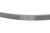 Ремінь генератора Renault Megane/Laguna 2.0 97-03/Clio/Grand Scenic/Talisman 1.5dCi 15- CONTINENTAL Contitech 6PK1125 (фото 3)
