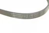 Ремінь генератора VW Caddy/T5 1.9TDI/2.0SDI 04-10/Renault Laguna/Megane/Trafic 1.9dTi/dCi 96-01 CONTINENTAL Contitech 6PK1138 (фото 4)