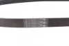 Ремінь генератора Renault Master 2.2/2.5dCi 00-/Peugeot 306/405 1.8/1.9D 93-01/Ford Fiesta 1.8 00-02 CONTINENTAL Contitech 6PK1145 (фото 2)