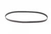 Ремінь генератора Renault Master 2.2/2.5dCi 00-/Peugeot 306/405 1.8/1.9D 93-01/Ford Fiesta 1.8 00-02 CONTINENTAL Contitech 6PK1145 (фото 5)
