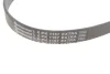 Поліклиновий ремінь (6PK1157) MERCEDES G (W461) VOLVO 440, 460, 480 BMW 1 (F20), 1 (F21), 2 (F22, F87), 2 (F23), 2 (G42, G87), 3 (F30, F80), 3 (F31), 3 (G20, G80, G28), 3 (G21) 1.2-3.0D 04.86- Contitech 6 PK 1157 EXTRA (фото 2)