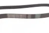 Ремінь генератора Citroen Jumper/Peugeot Boxer 3.0HDI CONTINENTAL Contitech 6PK1165 (фото 2)