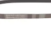 Ремінь генератора Citroen Jumper/Fiat Ducato 2.0/2.2HDi/JTD 02- CONTINENTAL Contitech 6PK1173 (фото 2)