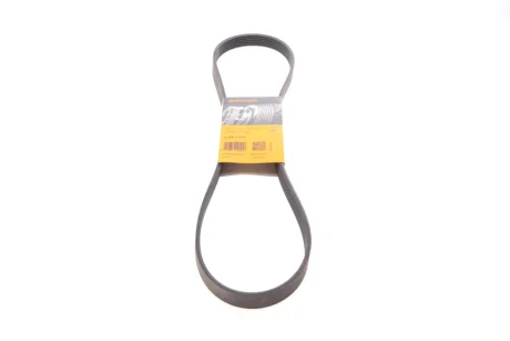 Ремінь генератора Citroen Jumper/Fiat Ducato 2.0/2.2HDi/JTD 02- CONTINENTAL Contitech 6PK1173