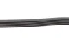 Ремінь генератора Renault Kangoo 1.9D 97-/Mazda 3/6/CX-5 2.2D 12-/Fiat Scudo 2.0 00-06 CONTINENTAL Contitech 6PK1190 (фото 3)