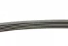 Комплект ременя генератора Renault Clio/Kangoo/Megane/Scenic 1.5dCi 01- (6PK1200) CONTINENTAL Contitech 6PK1200K1 (фото 2)