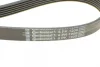Комплект ременя генератора Renault Clio/Kangoo/Megane/Scenic 1.5dCi 01- (6PK1200) CONTINENTAL Contitech 6PK1200K1 (фото 4)