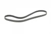Ремінь генератора Renault Kangoo 1.9dTi/dCi 00-/Peugeot 107 1.0 05-14/Toyota Aygo/Yaris 1.0/1.8 05- CONTINENTAL Contitech 6PK1210 (фото 4)