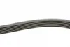 Поліклиновий ремінь (6PK1240) AUDI A3 MITSUBISHI MIRAGE / SPACE STAR VI RENAULT LAGUNA I, SAFRANE I, SAFRANE II TOYOTA AURIS, COROLLA VW GOLF V 1.0-3.2 12.92- Contitech 6 PK 1240 (фото 2)