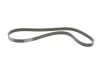 Поліклиновий ремінь (6PK1240) AUDI A3 MITSUBISHI MIRAGE / SPACE STAR VI RENAULT LAGUNA I, SAFRANE I, SAFRANE II TOYOTA AURIS, COROLLA VW GOLF V 1.0-3.2 12.92- Contitech 6 PK 1240 (фото 5)