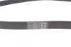 Ремінь генератора Ford Focus 1.8/2.0 04-12 CONTINENTAL Contitech 6PK1240 ELAST (фото 2)
