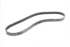 Поліклиновий ремінь (6PK1249) VOLVO C30, S40 II, V50 FORD C-MAX, FOCUS II 1.8-2.0LPG 04.04-12.12 Contitech 6 PK 1249 ELAST (фото 5)