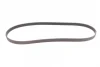 Поліклиновий ремінь (6PK1250) VOLVO 850, V70 I, XC40, XC70 I CHRYSLER VOYAGER IV DODGE CARAVAN FORD C-MAX II, FIESTA VII, FOCUS IV, PUMA, TOURNEO COURIER V769, TRANSIT CONNECT V408 1.0-2.7 09.93- Contitech 6 PK 1250 (фото 4)