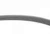 Ремінь генератора Hyundai i30/ Tucson/ ix20 1.4i-1.6 07-/ Kia Cee\'d/Picanto/ Soul 1.0-1.6 06- CONTINENTAL Contitech 6PK1256 (фото 2)