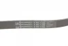 Ремінь генератора Hyundai i30/ Tucson/ ix20 1.4i-1.6 07-/ Kia Cee\'d/Picanto/ Soul 1.0-1.6 06- CONTINENTAL Contitech 6PK1256 (фото 4)
