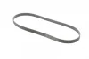 Ремінь генератора Hyundai i30/ Tucson/ ix20 1.4i-1.6 07-/ Kia Cee\'d/Picanto/ Soul 1.0-1.6 06- CONTINENTAL Contitech 6PK1256 (фото 5)