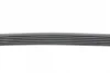 Ремінь генератора VW T5/Golf 2.3-3.2 V6 03-09/Audi A4/A6/Q5 2.0TDI 08-17 CONTINENTAL Contitech 6PK1264 (фото 2)