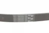 Ремінь генератора VW T5/Golf 2.3-3.2 V6 03-09/Audi A4/A6/Q5 2.0TDI 08-17 CONTINENTAL Contitech 6PK1264 (фото 3)