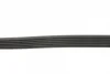 Ремінь генератора Ford Focus/Mazda 3/5/Volvo S40/V50/C30 1.8/2.0 03- CONTINENTAL Contitech 6PK1306 (фото 2)