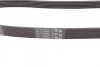 Ремінь генератора Opel Combo/Corsa/Meriva 1.3CDTI 05-/Fiat Punto 1.3D 09- CONTINENTAL Contitech 6PK1318 (фото 2)